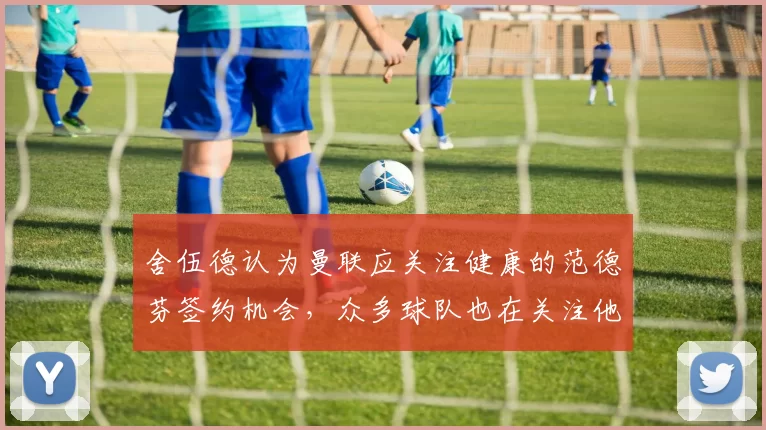 舍伍德认为曼联应关注健康的范德芬签约机会，众多球队也在关注他